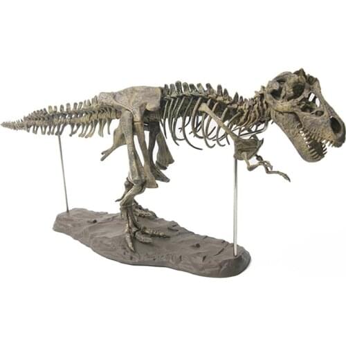 70cm Dinosaur 4D Assembled Bone Blast Dragon Childrens Toy Tyrannosaurus Fossil Skeleton Simulation Animal Teaching Model Decor