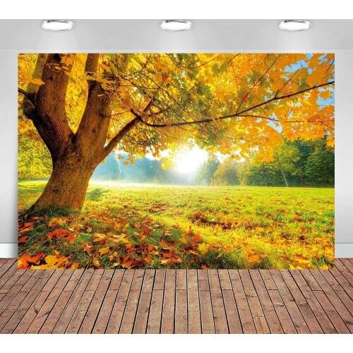 Autumn Golden Maple Deciduous Photography Background Fall Photo Backdrop Wedding Backdrop Newborn Photography Backdrops