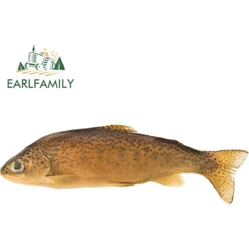 EARLFAMILY 13cm x 4.1cm for Catfish Car Stickers Anime Decal Creativite RV JDM VAN Car Styling Sticker Waterproof Sunscreen