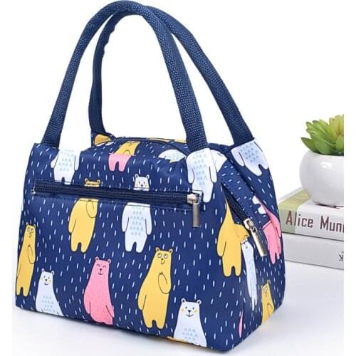 Outdoor Picnic Bags Lunch Box Portable Insulated Thermal Cooler Waterproof Zipper Beach Lunch Bag for Woman Student Kids Handbag