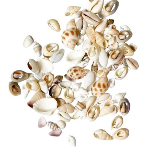1 Bag Artifical Shell Vivid DIY Shell Shell Cream Glue Epoxy Accessories for Home DIY Filling Material Simulation Cream 2021