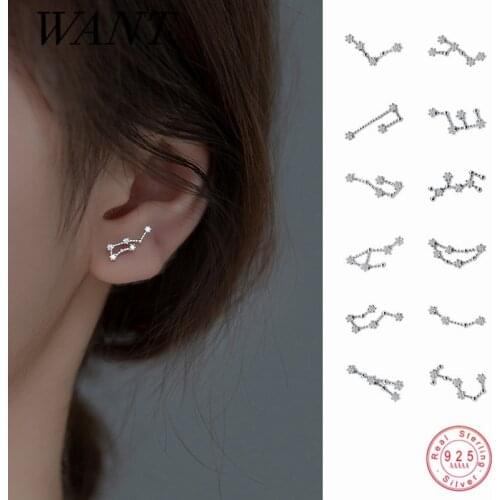 WANTME 925 Sterling Silver Trendy White Zircon 12 Constellation Stud Earrings for Women Personality Friend Birthday Jewelry Gift