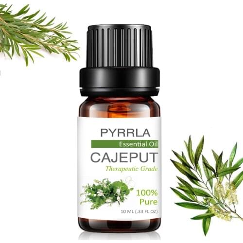 Pyrrla 10ml Cajeput Pure Essential Oils For Aromatherapy Refreshing Humidifier Tangerine Purifying Air Aromatic Essential Oil