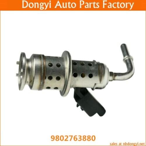 High quality Fuel Injetcor Valve for 9802763880