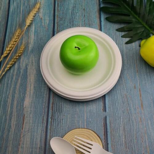 Round Dinner Plate Disposable Degradable Sugarcane Pulp Wheat Straw Fiber Cake Plate 6/7/9/10inch Picnic Barbecue Dipping Plate