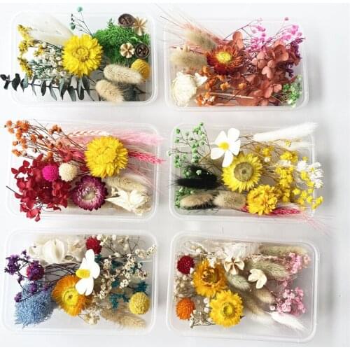 1 Box DIY Dried Flower Moss For Epoxy Resin Jewelry Aromatherapy Candle Wedding Bridesmaid Bracelet Making Craft Accessories