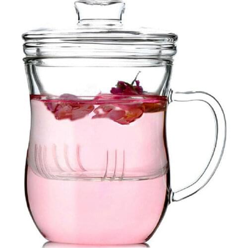 Transparent Glass Cup Heat Resistant Glass Teapots with Tea Infuser Filter&Lid Coffee Mugs Tea Leaf Herbal Home Office Drinkware
