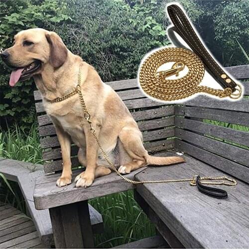 Tiasri Gold Color Dog Chain Pet Leash Solid Stainless Steel Link Coriaceous Handle Sturdy Durable Pet Supplies Retail Wholesale