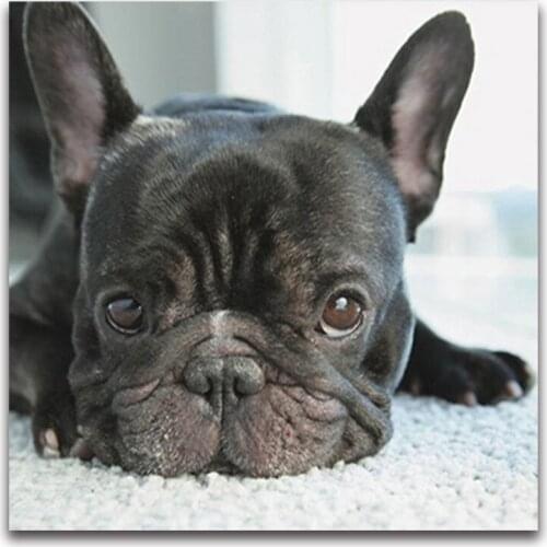 5D Diy Diamond Painting Cross Stitch small black dog heads full Diamond Embroidery french bulldog round Diamond Mosaic puppy