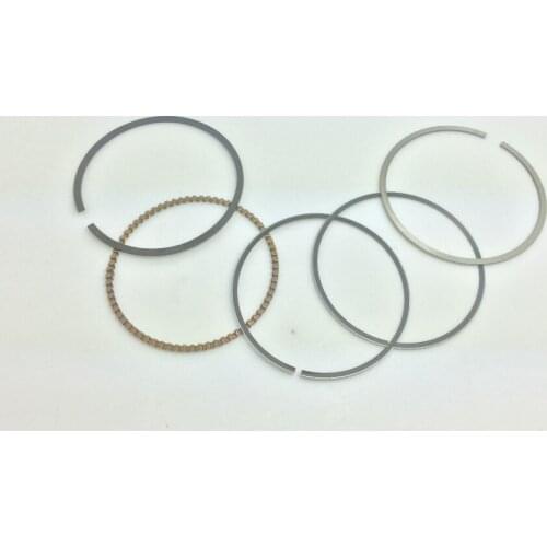 Timberwolf, Big Bear, Moto-4 Bear, Tracker, Bruin , Piston Ring Set Fit 250cc STD