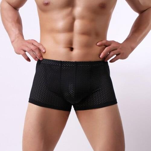 Brand New Underwear Boxer Men Breathable Mesh Mens Boxers Male Underpants Sexy Panties Nylon Mens Bodysuit Trunks Pant