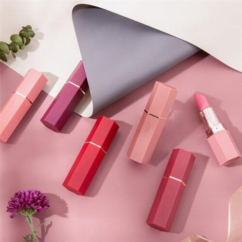 6 Colors Matte Waterproof Velvet Lipstick Sexy Red Brown Pigments Makeup Long Lasting Profissional Lipstick