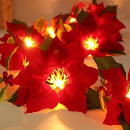 Hapeisy LED Lightening