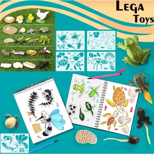 Montessori Chicken,Turtle,ants,Frog,Mosquito Life Cycle Animal Drawing Stencils and Figurines model set Educational Toys