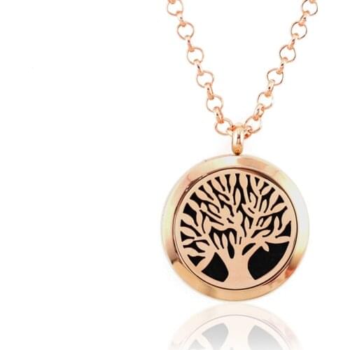 1PC Stainless Steel Locket Necklace Rose Gold Diffuser Locket Pendant Aromatherapy Essential Oil Diffuser Necklace