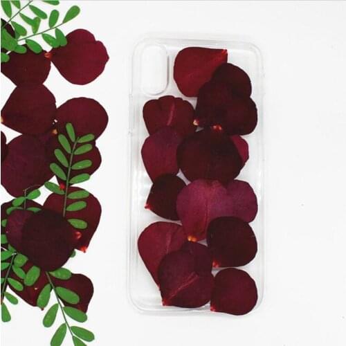 12pcs Pressed Dried Dark Red Rose Petals Flower Plant Herbarium For Jewelry Bookmark Postcard Phone Case DIY Making Accessories
