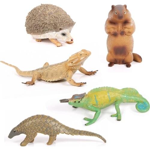 Action Toys Figure Animal models Wild Zoo Lizard Hedgehog Groundhog Pangolin Simulation Figurine For Home Garden decoration Toy
