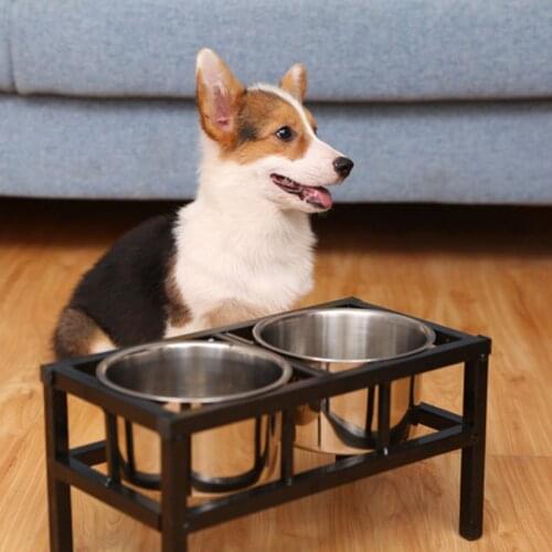 Elevated Dog Feeder with 2 Removable Stainless Steel Bowls Raised Pet Food Water Dispenser Stand for Large Dog Cat
