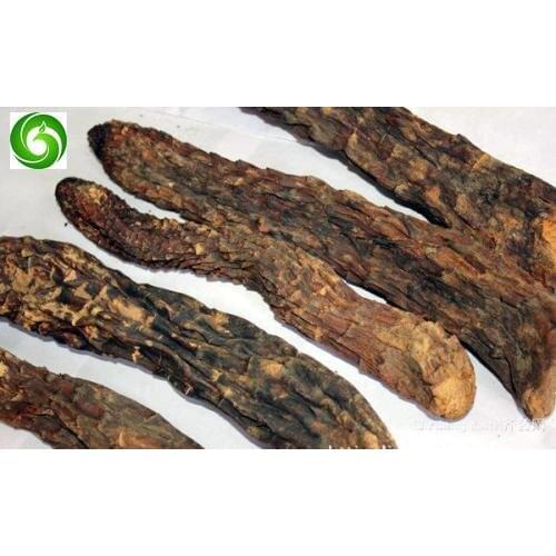 Whole Cistanche, Desertliving Cistanche, Da Yun, Rou Cong Rong