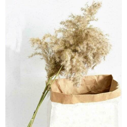 10pcs Natural Dried Flowers Bulrush Reed Grass Bouquet DIY Artificial Flowers Plants For Home Wedding Decoration