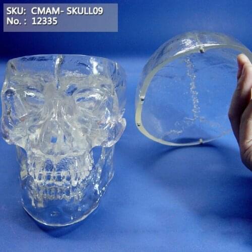 CMAM/12335 Skull, clear, Transparent Plastic Skull Medical Anatomical Model