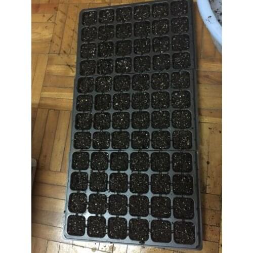 Free shipping,1mm thicken,PS seedling tray,no cut,garden supplies,32hole,50 hole,72hole,105hole,128hole,seed planter,nursery pot