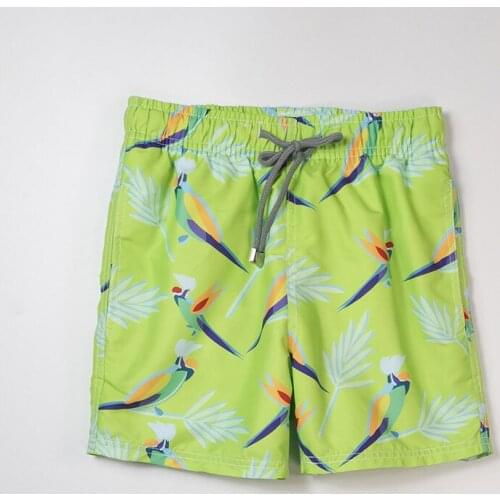 Vilebre MEN SWIMWEAR HERRINGBONES TURTLES Newest Summer Casual Shorts Men Fashion Style Mens Shorts bermuda beach Shorts quin016