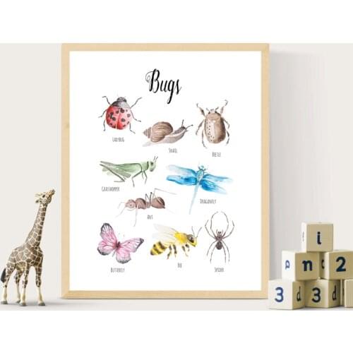 Bugs Insects Watercolour Painting Art Print Beetle Butterfly Ladybug Nature Education Canvas Poster Kids Child Room Wall Decor