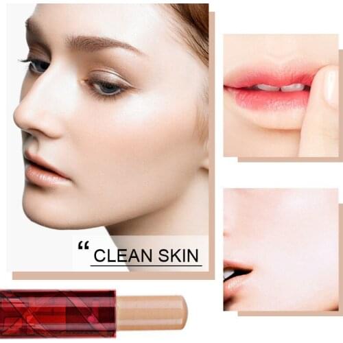 New Pasha Waterproof Concealer Stick Waterproof Cosmetics Professional Concealer Highlighter Contour Foundation Base Cream T1060