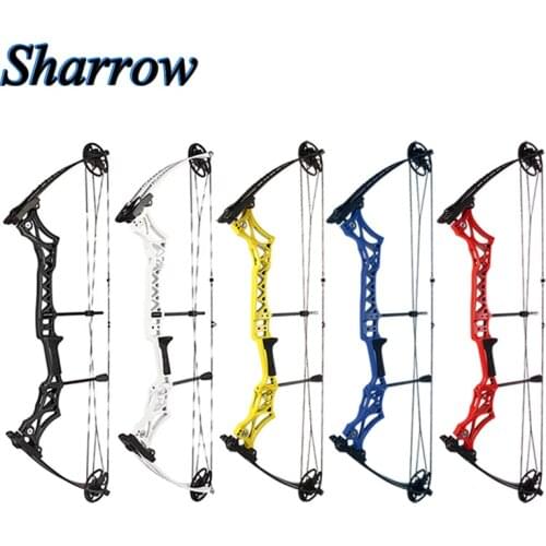 Archery Compound Pulley Bow & Arrow Sets 30-55lbs Adjustable Axle to Axle 40inch For Outdoor Hunting Shooting Accessories