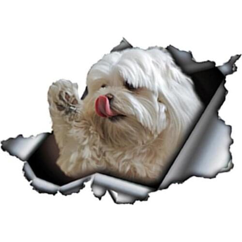 Polar Bear 3D Car Vinyl Sticker Cracked Window Decals Labrador Vinyl Decal Sticker For Cars Trucks Windows Bathrooms 13x 8cm