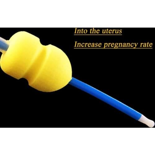 Deep intrauterine pig straw vas deferens with sponge head sow swine artificial insemination semen catheter veterinary transfer