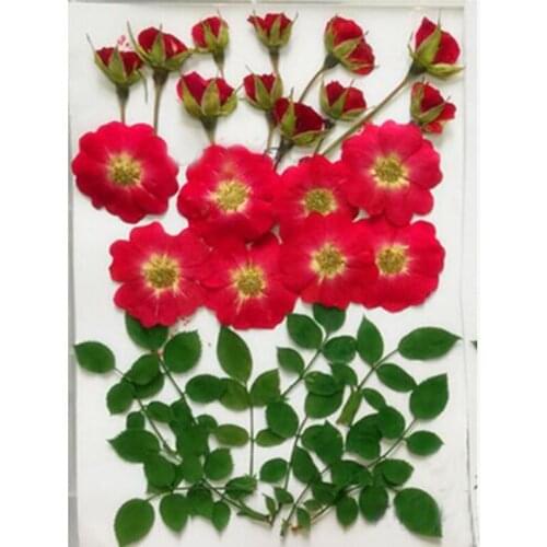 Assorted Pressed Dried Red Rose Flower+Leaf Wedding Party Pendant Necklace Jewelry Phone Case Craft DIY Accessories Design-1607