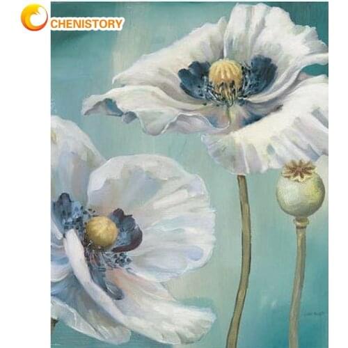 CHENISTORY Painting By Numbers Kits For Adults Two White Flower Oil Paint Handmade 40x50cm Frame On Canvas Home Decor Picture