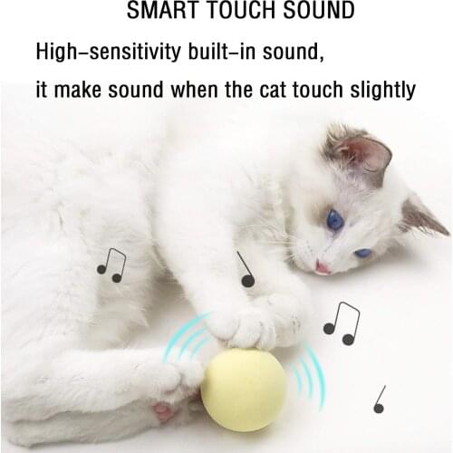 Funny Cat Pet Toy Ball Interactive Cat Toys Smart Touch Sound Ball Catnip Pet Training Supplies Simulation Squeaker Products