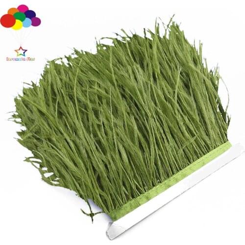 Beautiful Grass Green 1/5/10 Meter Ostrich Feather Cloth Trims 3.15 -6 Inches/8-15cm Ribbon for Carnival Party Costume Diy