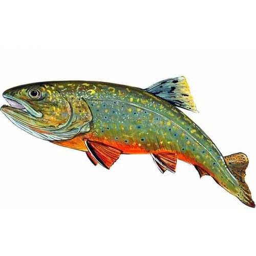 Dawasaru Brook Trout Fish Car Sticker Waterproof Sunscreen Decal Laptop Truck Suitcase Motorcycle Auto Accessories PVC,13cm*6cm