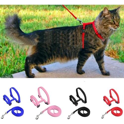 Dog Cat Collar Harness Leash Adjustable Nylon Pet Traction Cat Kitten Halter Collar Puppy Dog Cat Product Small Pet Harness Belt