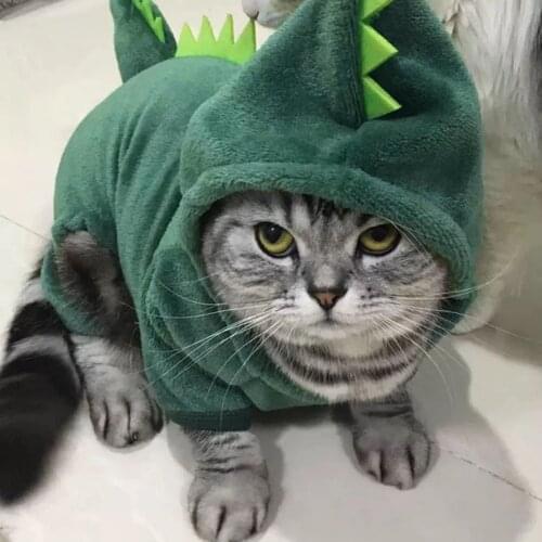 Funny Pet Kitten Coral Fleece Dinosaur Costume Coat Pet Cat Dog Winter Warm Plush Dinosaur Suit Hoodies Sweater Animal Clothes