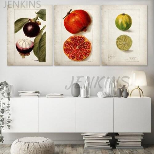 Fruit Decorative Canvas Painting Painting Artistic Poster Decoration Home Decor Wall Art Picture Jenkins Kitchen Dining Room