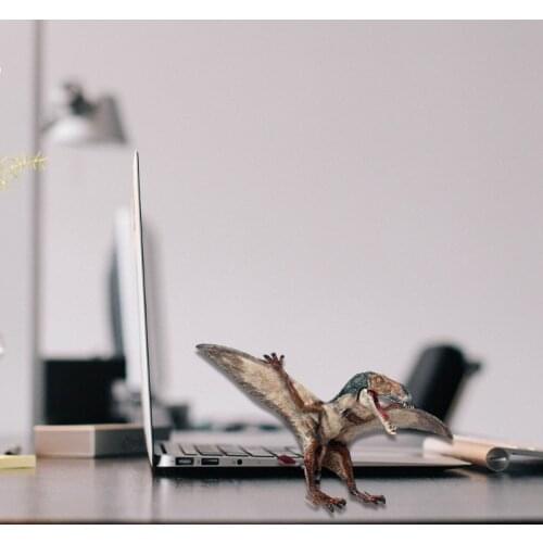 Q9QB Realistic Dinosaur Figure Flying Pterosauria Model Figurine Collection Scientific Art Plastic Toys Gift Toys Collector