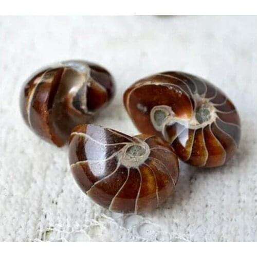 AAA+++ AMMONITE AMMOLITE NAUTILUS MADAGASCAR FOSSIL SPECIMEN HEALING 20g--30g free shipping