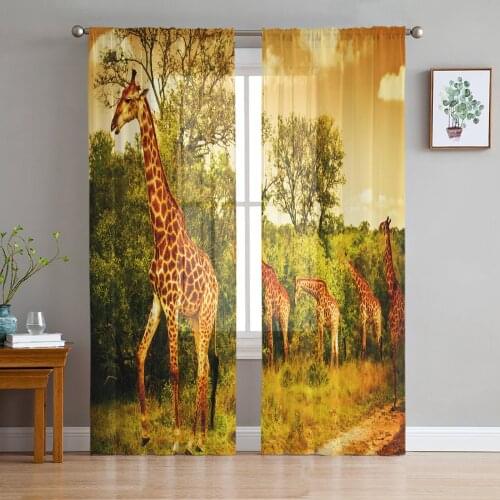 Africa Giraffe Grassland Sunset Tulle Sheer Window Curtains for Living Room Kitchen Children Bedroom Voile Hanging Curtain