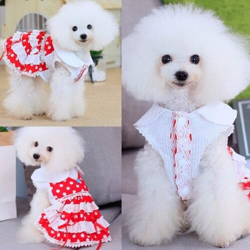 Cute Dots Dog Dress Summer Pet Skirt Girl Dog Clothing Princess Costumes Yorkshire Pomeranian Poodle Bichon Schnauzer Dresses XL