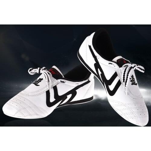 2021 News Fu Tai Chi Shoes for Training Adult Unisex Chinese Traditional Shoes Martial Arts Shoes Taekwondo Breathable Wushu