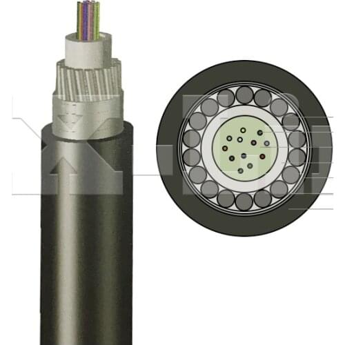 2 4 6 8 12 16 24 Core Single Mode Outdoor Aerial Underwater Armoured GYXTA Fiber Optical Cable