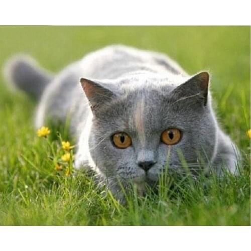 YIKEE diamond painting cat，cross stitch diamond,diamond mosaic paintings Y1408