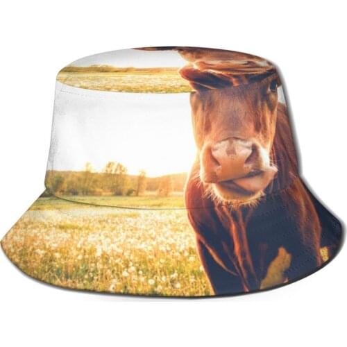 CINESSD New Fashion Bucket Hats Fisherman Caps For Women Men Gorras Summer Vintage Single Meadow Cow