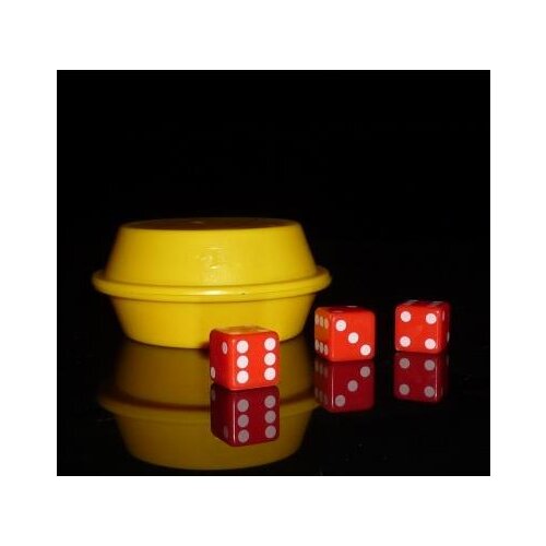 Super Dice Easy Magic Tricks for Kids Magic Games Amazing Street Magics Props Party Magical Super Fly Dice