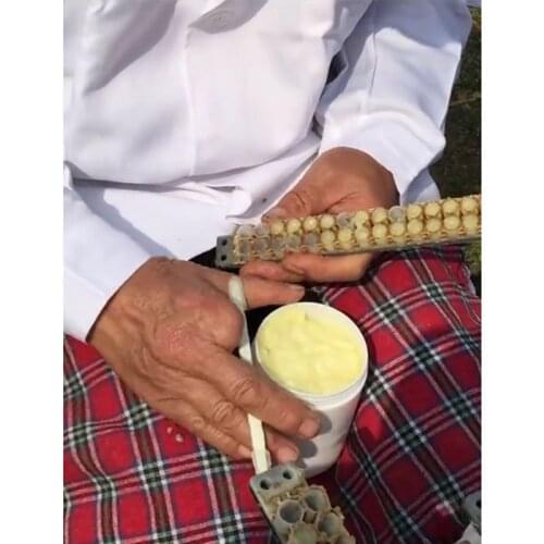 10PCS/Pack Bee Tool White Royal Jelly Cup with Dual Row 63 Holes to produce Royal Jelly